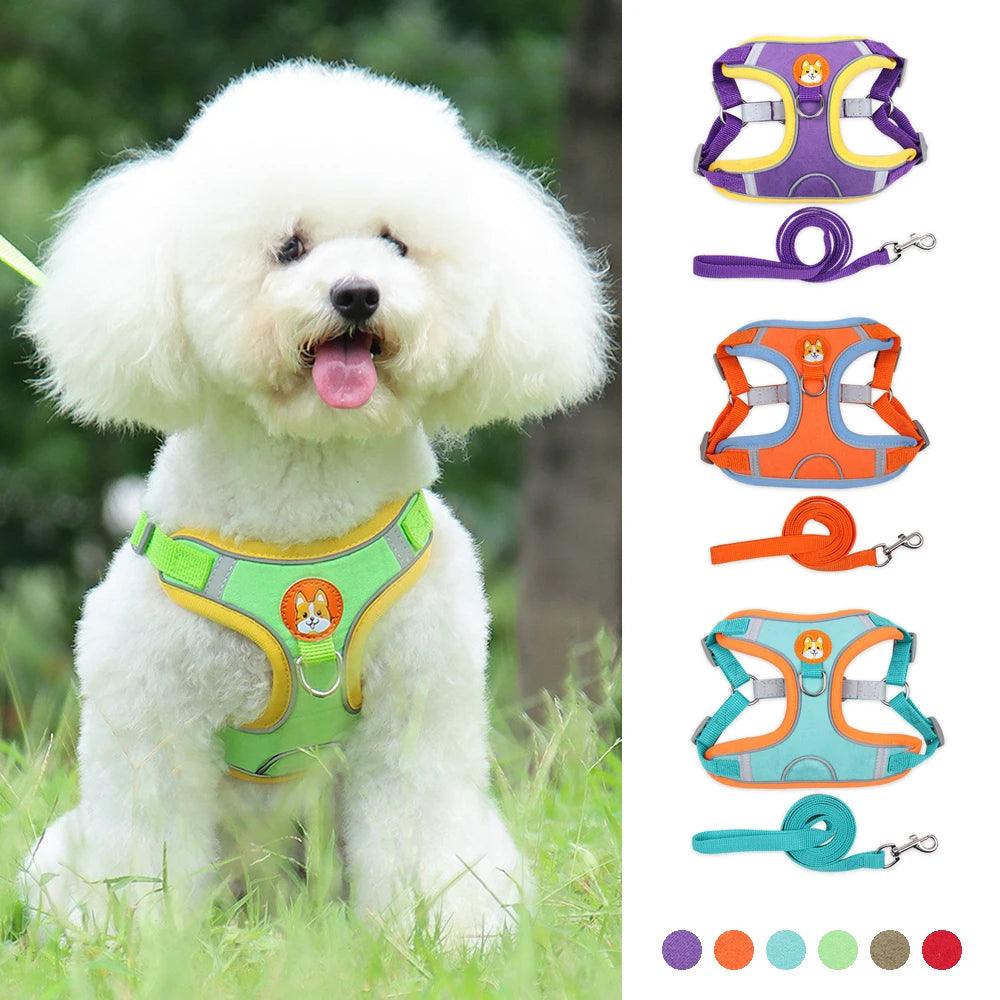 Colete de Cachorro Ajustável e Reflexivo Para Cães Pequenos e Gatos - Tartaruga Shop