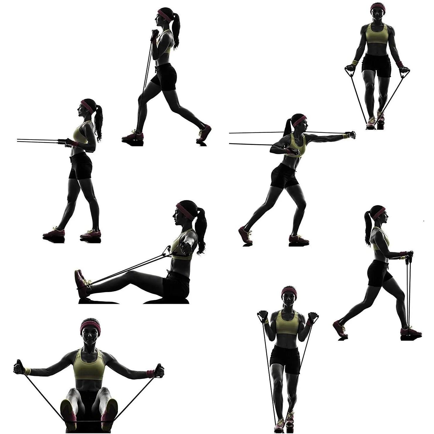 Kit 11 Elasticos Funcionais para Treino e Exercicios. - Tartaruga Shop