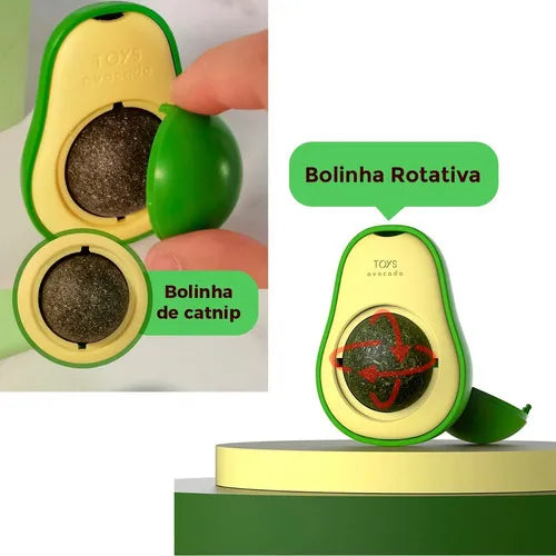 Abacate Catnip Erva Natural - Tartaruga Shop