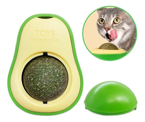 Abacate Catnip Erva Natural - Tartaruga Shop