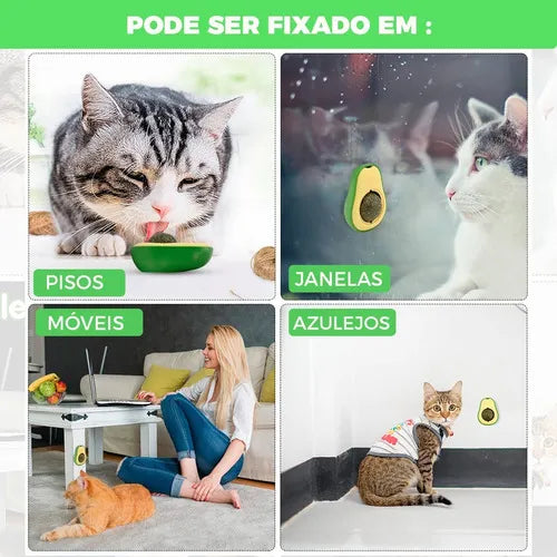 Abacate Catnip Erva Natural - Tartaruga Shop