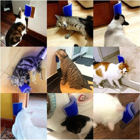 Massageador Cat Scratcher para animais de estimação - Tartaruga Shop