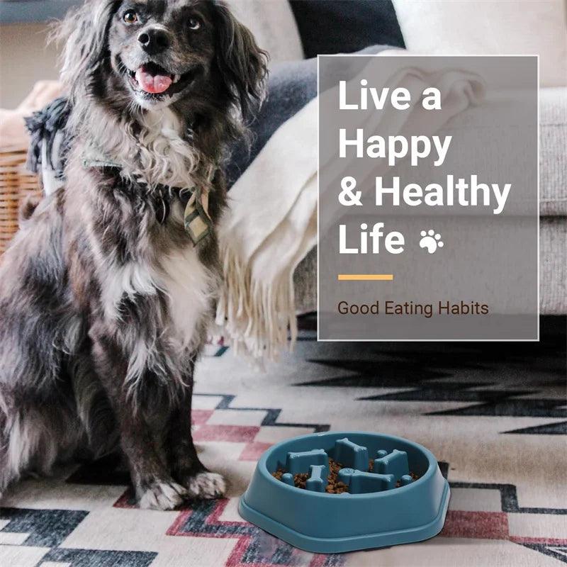 Tigela de comida anti-asfixia para cães, Alimentadores lentos para cães, Alimentador para animais de estimação dieta saudável - Tartaruga Shop