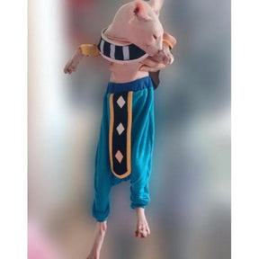 Roupas de Gato Sem Pêlos Dragon Ball Deus da Destruição Beerus - Tartaruga Shop