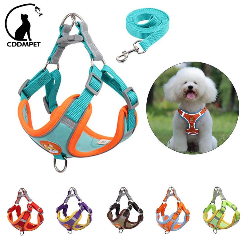 Colete de Cachorro Ajustável e Reflexivo Para Cães Pequenos e Gatos - Tartaruga Shop