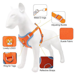 Colete de Cachorro Ajustável e Reflexivo Para Cães Pequenos e Gatos - Tartaruga Shop