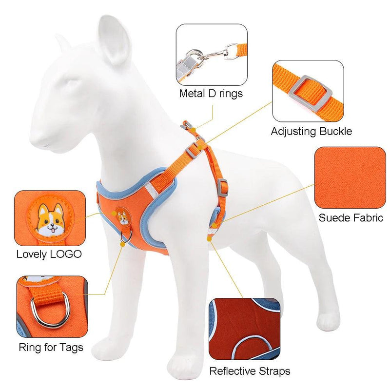 Colete de Cachorro Ajustável e Reflexivo Para Cães Pequenos e Gatos - Tartaruga Shop