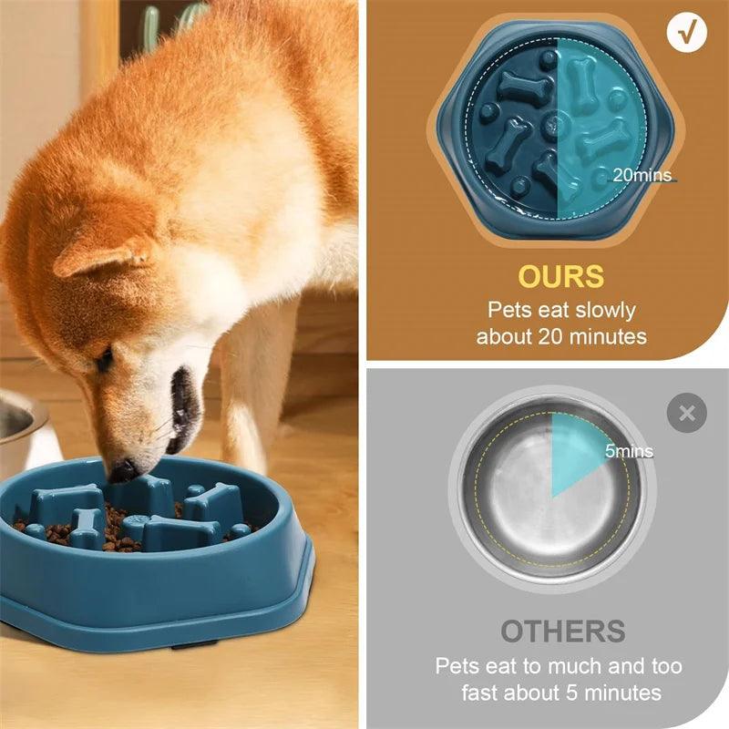 Tigela de comida anti-asfixia para cães, Alimentadores lentos para cães, Alimentador para animais de estimação dieta saudável - Tartaruga Shop