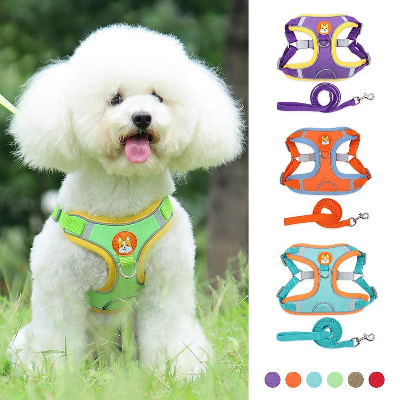 Colete de Cachorro Ajustável e Reflexivo Para Cães Pequenos e Gatos - Tartaruga Shop