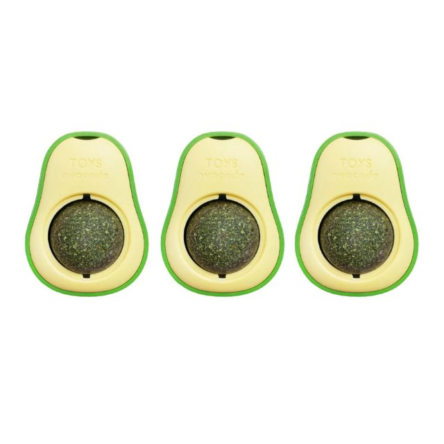 Abacate Catnip Erva Natural - Tartaruga Shop